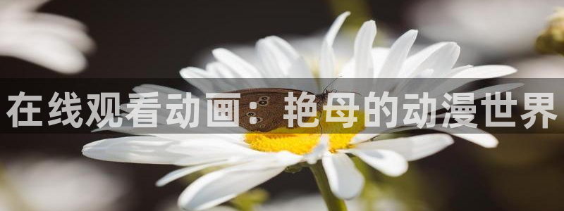 omofun动漫官方下载：在线观看动画：艳母的动漫世界