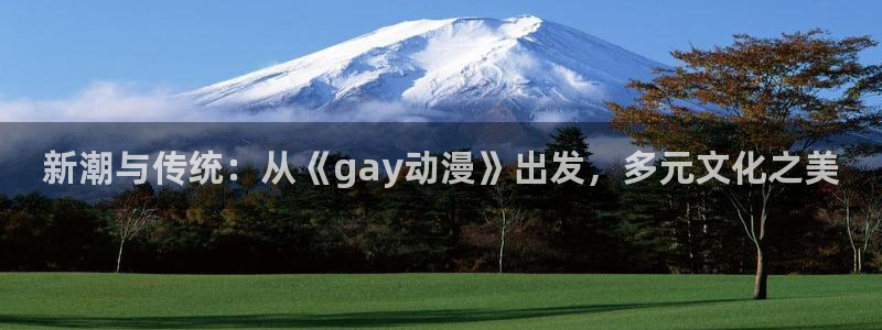 omofun动漫 官网：新潮与传统：从《gay动漫》出发，多元文化之美