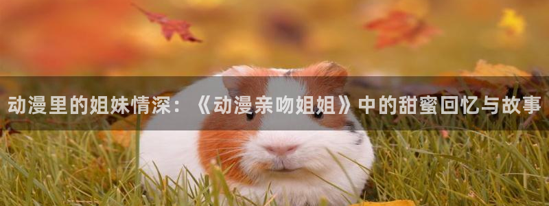 动漫共和国(omofun)：动漫里的姐妹情深：《动漫亲吻姐姐》中的甜蜜回忆与故事